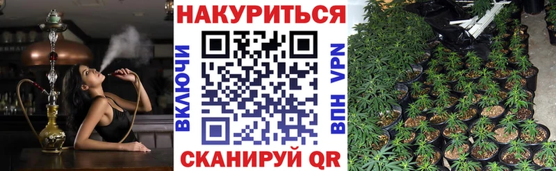 Марихуана семена Купить Жигулёвск